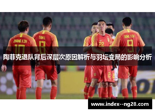 陶菲克退队背后深层次原因解析与羽坛变局的影响分析