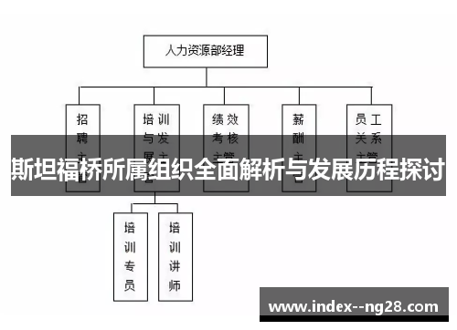 斯坦福桥所属组织全面解析与发展历程探讨 斯坦福桥所属组织全面解析与发展历程探讨